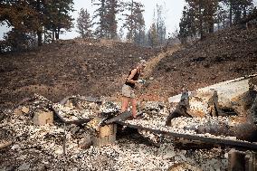 White Rock Lake Wildfire Aftermath - Canada