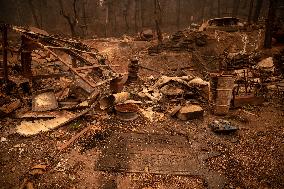 White Rock Lake Wildfire Aftermath - Canada