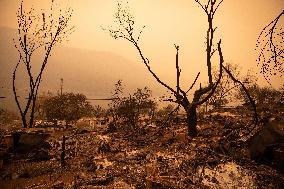 White Rock Lake Wildfire Aftermath - Canada