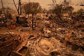 White Rock Lake Wildfire Aftermath - Canada
