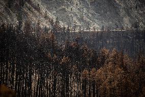 Lytton Creek Wildfire Rages - Canada