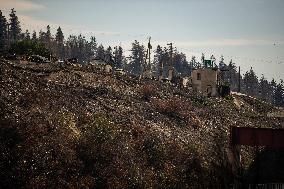 Lytton Creek Wildfire Rages - Canada