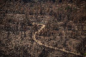 Lytton Creek Wildfire Rages - Canada