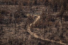 Lytton Creek Wildfire Rages - Canada