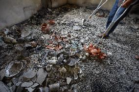 Wildfire Aftermath in Algeria