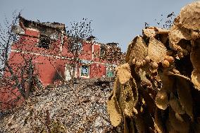 Wildfire Aftermath in Algeria