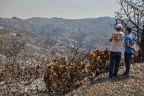 Wildfire Aftermath in Algeria