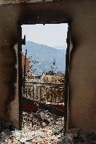 Wildfire Aftermath in Algeria