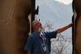 Wildfire Aftermath in Algeria