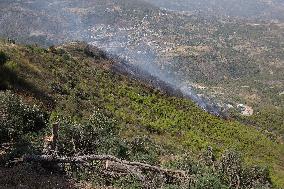 Wildfire in Algeria