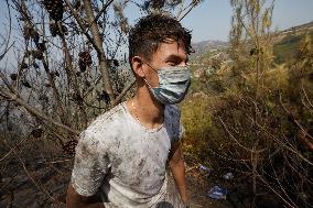 Wildfire in Algeria