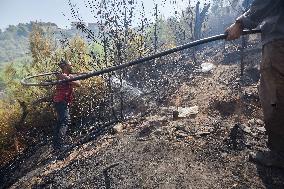 Wildfire in Algeria