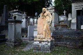 Illustrations Of The Pere Lachaise Cemetery - Paris