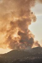 Kabylia forest fires - Algeria