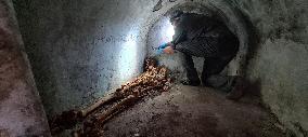 Unique tomb with skeleton discovered in Pompeii - Italy