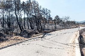 New Wildfires Hit South Of France