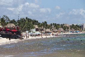 Hurricane Grace Heads Toward Caribbean Coast - Mexico