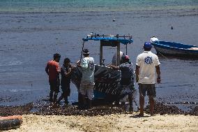 Hurricane Grace Heads Toward Caribbean Coast - Mexico