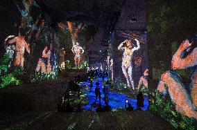 The Carrieres de Lumieres - Les Baux-de-Provence