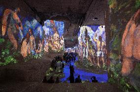 The Carrieres de Lumieres - Les Baux-de-Provence