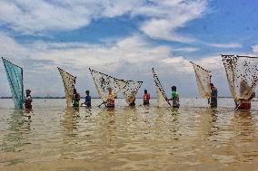 Inhabitants Of The Roumar Fish During High Tide - Bangladesh