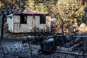Southern France wildfire aftermath