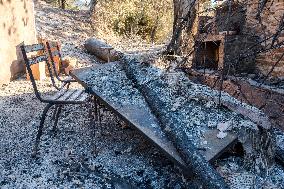 Southern France wildfire aftermath