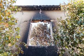 Southern France wildfire aftermath