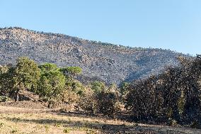 Southern France wildfire aftermath