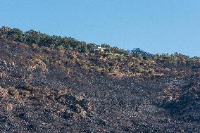 Southern France wildfire aftermath