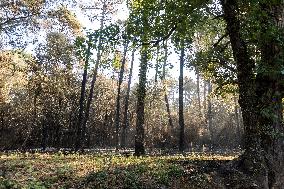 Southern France wildfire aftermath