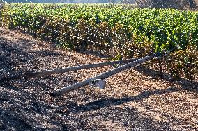 Southern France wildfire aftermath