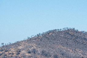 Southern France wildfire aftermath