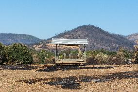 Southern France wildfire aftermath
