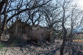 Southern France wildfire aftermath