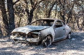 Southern France wildfire aftermath
