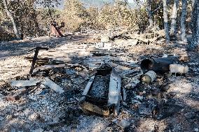 Southern France wildfire aftermath