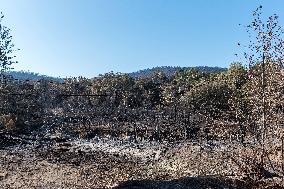 Southern France wildfire aftermath