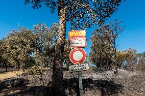 Southern France wildfire aftermath