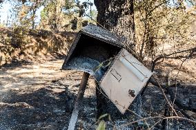 Southern France wildfire aftermath
