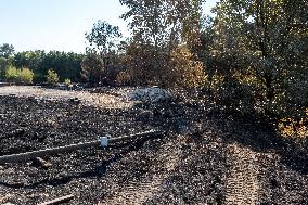 Southern France wildfire aftermath