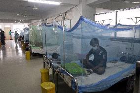 Bangladesh Battles Dengue Outbreak - Dhaka