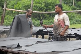 Process Of Cow Leather Tanning - Bangladesh