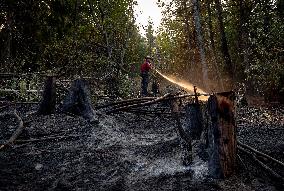 White Rock Lake Wildfire Aftermath - Canada