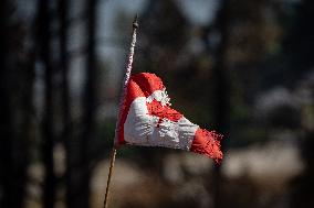 White Rock Lake Wildfire Aftermath - Canada