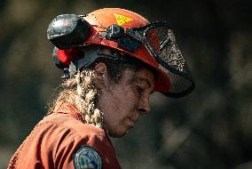 White Rock Lake Wildfire Aftermath - Canada