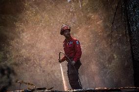 White Rock Lake Wildfire Aftermath - Canada