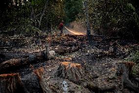 White Rock Lake Wildfire Aftermath - Canada