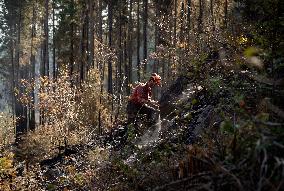 White Rock Lake Wildfire Aftermath - Canada