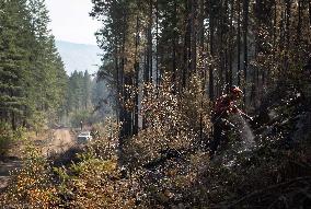 White Rock Lake Wildfire Aftermath - Canada